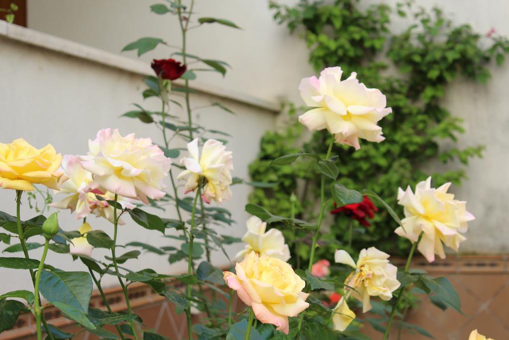 Apartamento Jardin De La Ribera. Cordoba Ngoại thất bức ảnh